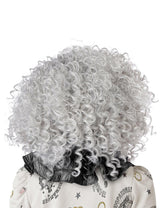 Fancy Dress California Costumes Corkscrew Clown Curly Wig