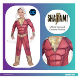 Fancy Dress Child Shazam! Super Hero Costume