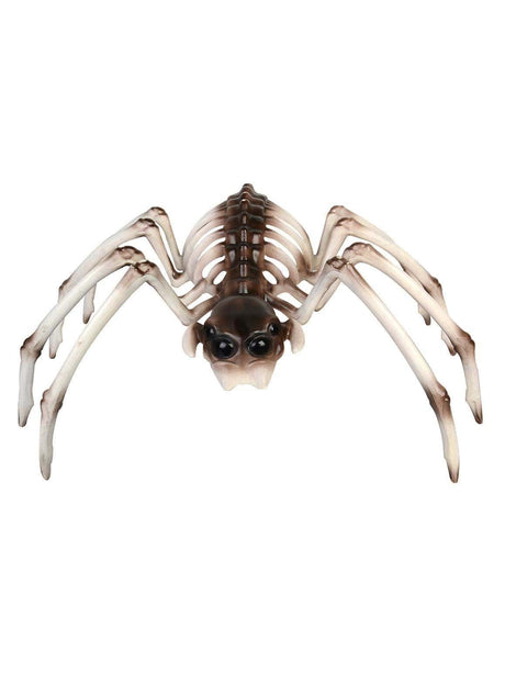 Fancy Dress 80395 Spider Skeleton Halloween Fancy Dress Party Decorarion